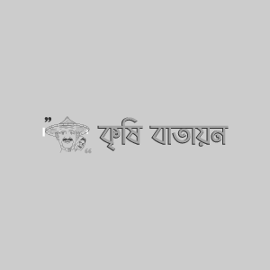 কুসুম ফুলের জাব পোকা